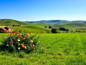 Działka siedliskowa – co to jest i jakie ma znaczenie?